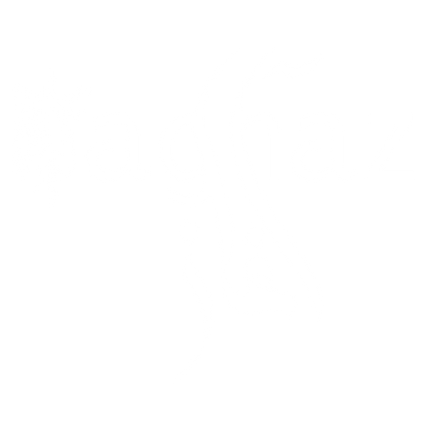 AAGHAZ ELEGANCE